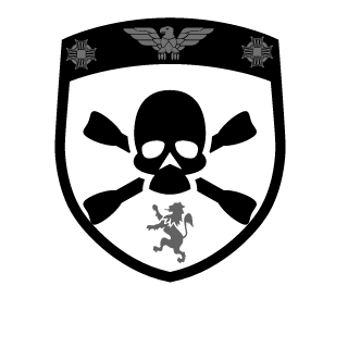 IceRain989's emblem