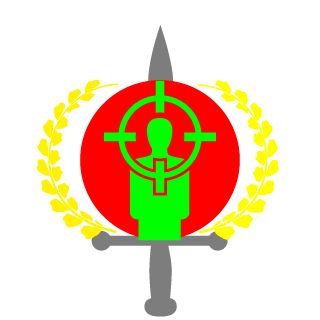 iHiddenTactics's emblem