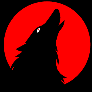 NCboy94's emblem