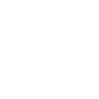 Seb1x06's emblem