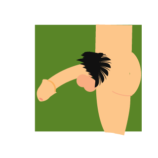 LittleBit-CN's emblem