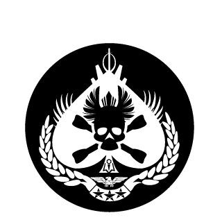 Soulshot96's emblem