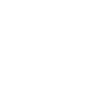 chichichichichii's emblem