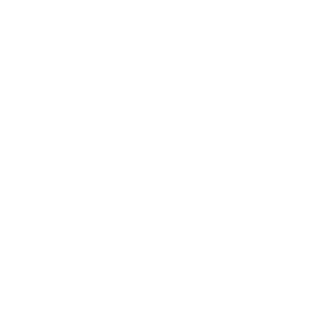 ARI16X's emblem