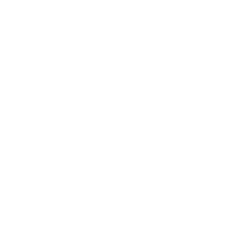 bwoom's emblem