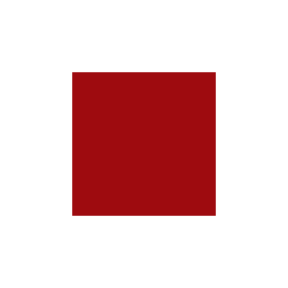 Flanker_04's emblem