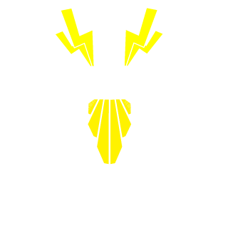 Rivaly77's emblem