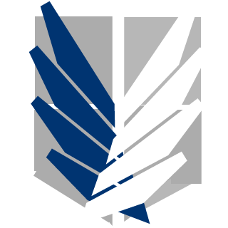 sulosu21's emblem