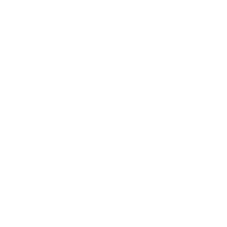 40-45-SS's emblem