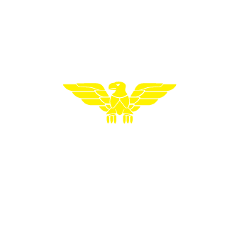 flowrider91's emblem