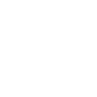 Bonecolector667's emblem