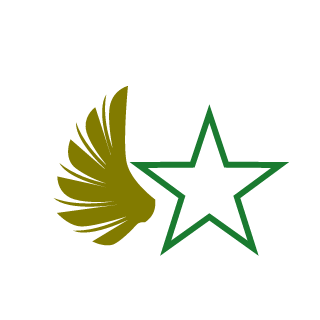 0b78ffd0593a42cc's emblem