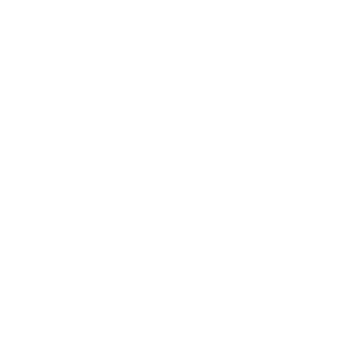 910_Jnt's emblem