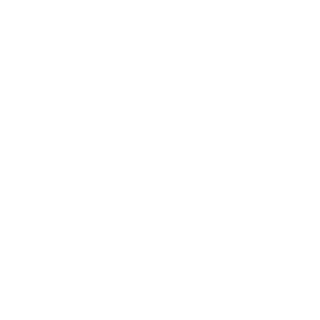 01Fenix10's emblem
