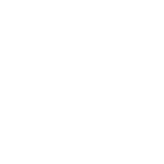 Chaosele's emblem