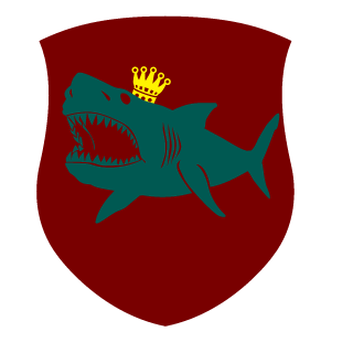 networkstar2's emblem