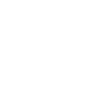 Spacer_Choice's emblem