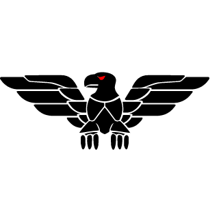 SolidRaiden-97's emblem