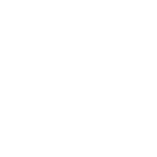 VirtusOrdo's emblem