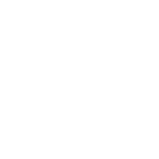 smikkelmoes's emblem
