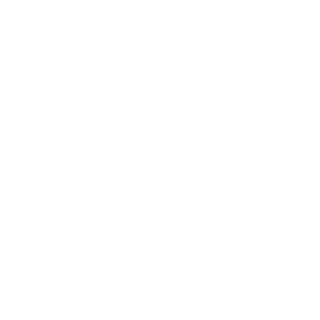 Spyrex9's emblem
