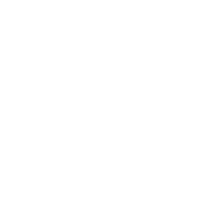 tatsuIX's emblem