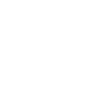 Ninjaanerd's emblem