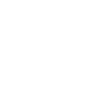 Fallen BuLl3t's emblem