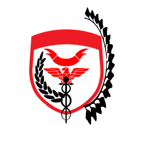 ggtnshow's emblem