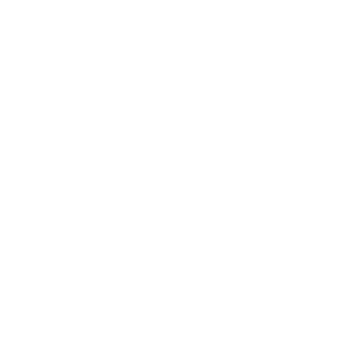 Bxtr x's emblem