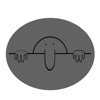 raptorK57's emblem