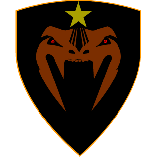 Shadow Assassins's emblem