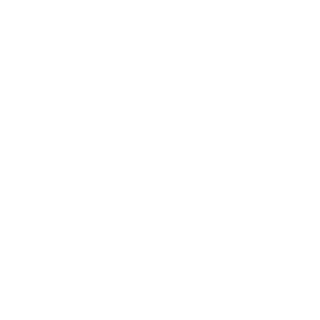 wilsonrocha2011's emblem