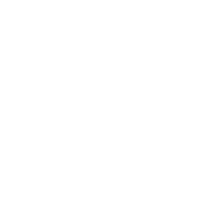 Crashboss007's emblem