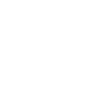 verso2000's emblem