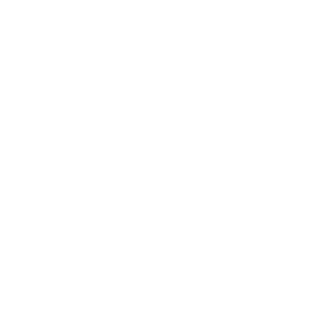 Floflo2178's emblem