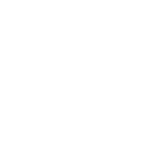 Vossx's emblem