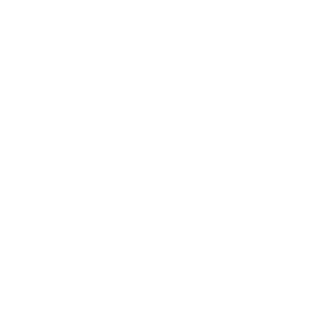 G4LDarkFighter's emblem