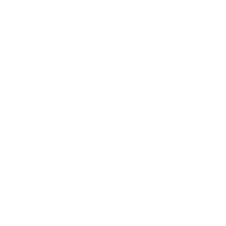 1994dec27's emblem