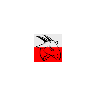 PaladynInnosa's emblem
