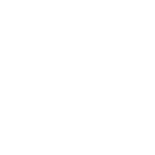 Spaceman1N's emblem