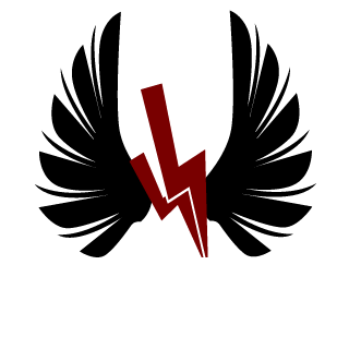 ooPLAYHARDoo's emblem