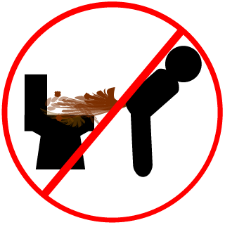 China Army's emblem