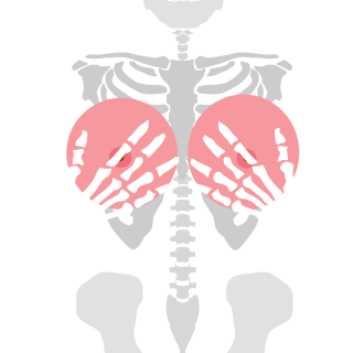 dona294's emblem