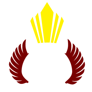 drkiller1996's emblem