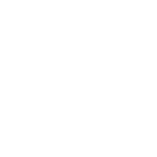 ALRyes996's emblem