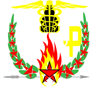 essevee-boy's emblem