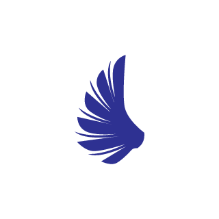 BoskoBuba's emblem