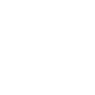 74model's emblem
