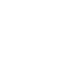 techninetyfive's emblem